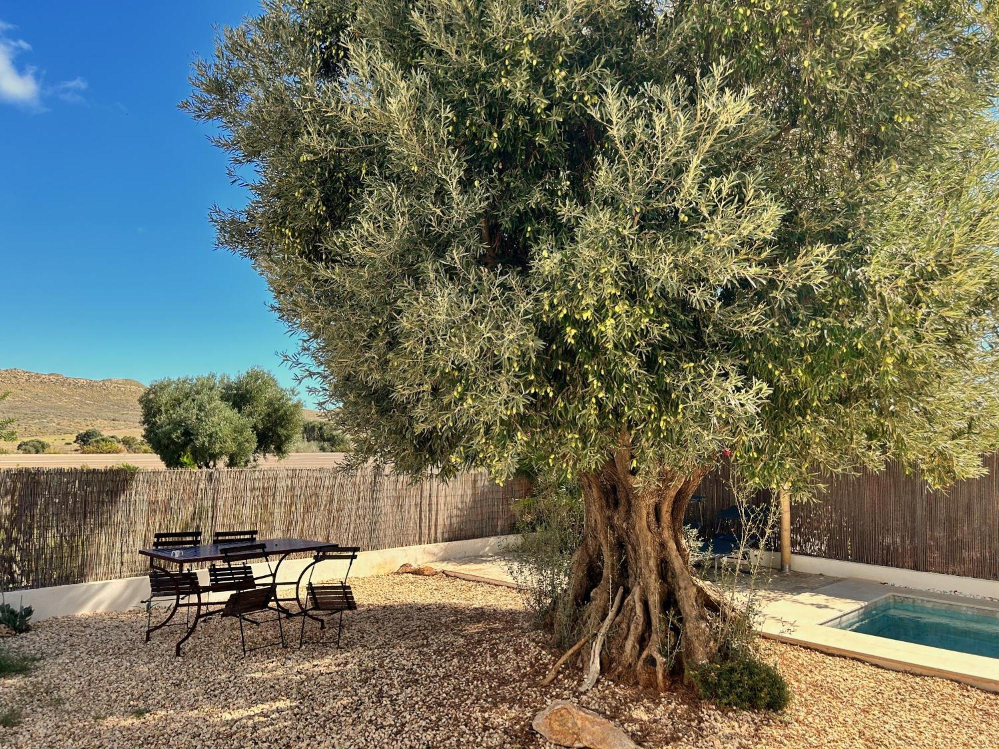 רודאלקילאר Villa Filon מראה חיצוני תמונה