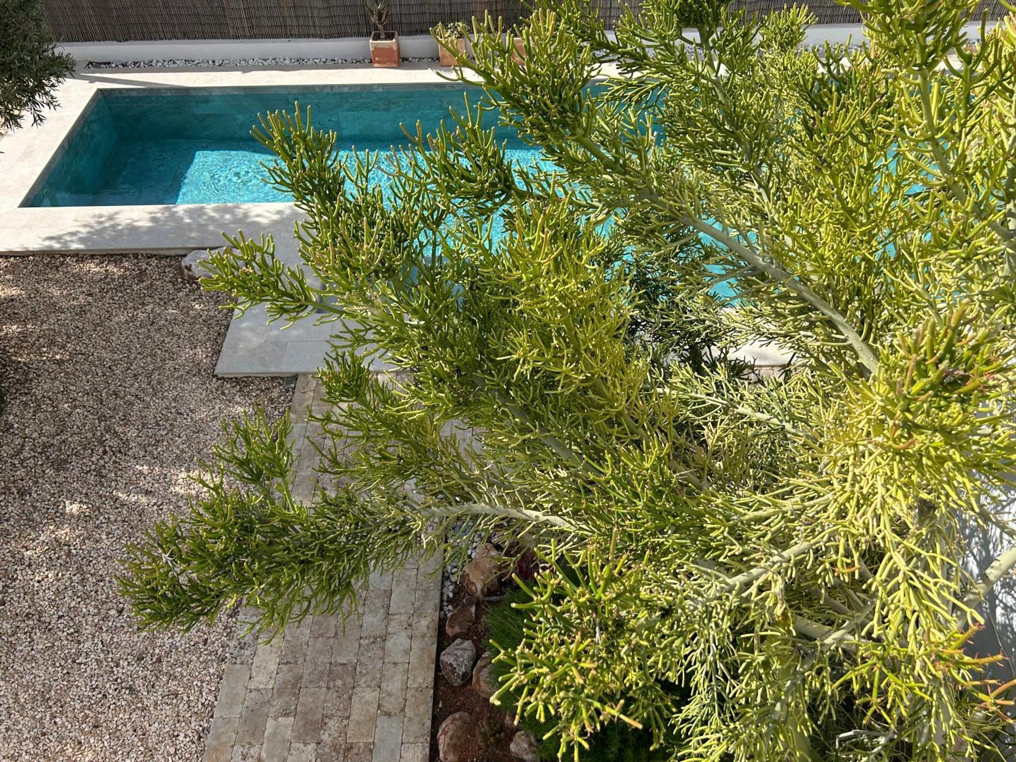 רודאלקילאר Villa Filon מראה חיצוני תמונה